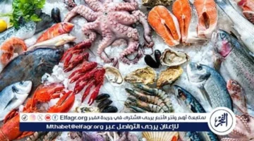 أسعار المأكولات البحرية والجمبري في قنا اليوم الأحد 26-10-2025 وتأثيرها على الأسواق المحلية